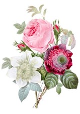 Wasserschiebefolie-Decalfolie-