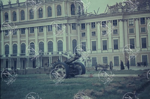 Farbdia slide wien schloss - slide,