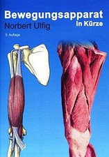 Bewegungsapparat in Kürze von Ulfig, Norbert | Buch | Zustand sehr gut