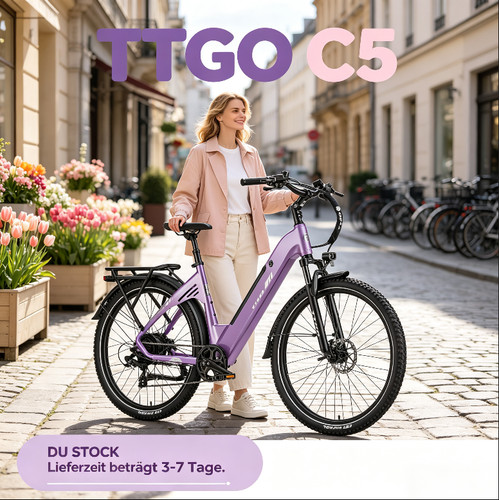 Ttgo city e bike - ttgo, 250w