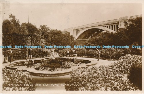 R191251 pfirmenbrücke und - pfirmenbrücke,