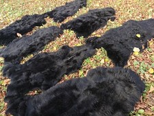 Echte Öko Schaffelle Lammfell Schaffell Fell Schwarz Bis140cm 2.Wahl Schnäppchen