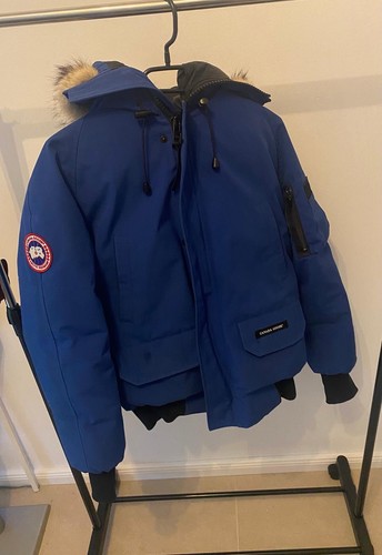 Canada goose chilliwack - canada,
