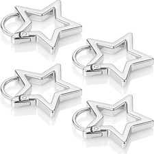 Stern-Karabiner