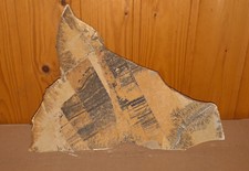 Schöne Platte mit Eisen-Dendriten aus dem Plattenkalk Solnhofen (5)