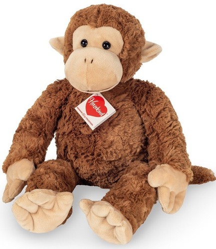 Yoyo affe von teddy - von, hermann