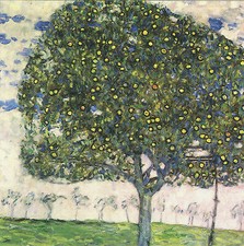Der Apfelbaum Gustav Klimt Obst Wiese Himmel Kunstdruck Plakat Poster 359