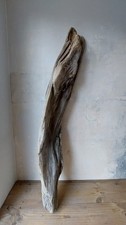 107 cm Treibholz Skulptur