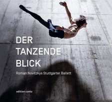 Der Tanzende Blick. Roman