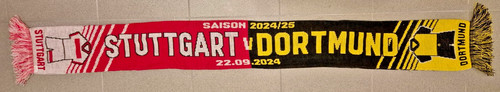Vfb stuttgart borussia - vfb,