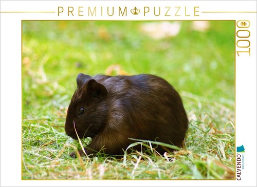 Calvendo puzzle dunkles - calvendo,