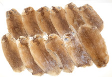 12x felle nutria pelz - nutria, ?