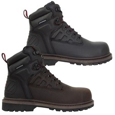 Herren hoggs fife hercules - of,