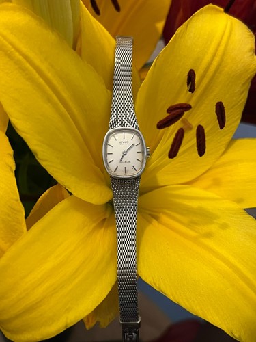 Bwc swiss incabloc - swiss, uhr
