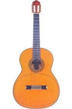 Dieter Hopf Artista - ganz besondere Meistergitarre - ausgezeichn. Klang + Video