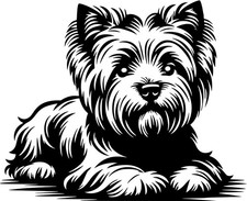 WEST HIGHLAND TERRIER