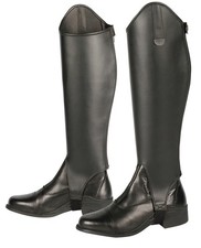 Harrys horse gaiters - horse,
