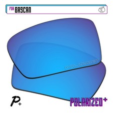 Polarisierte Ersatzgläser for