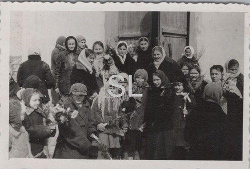 Foto polizei sch regt - foto,, polizei-sch.