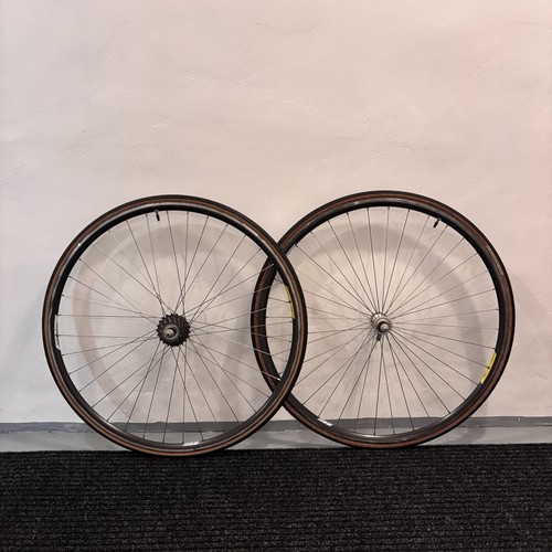Campagnolo omega strada hardox - omega,
