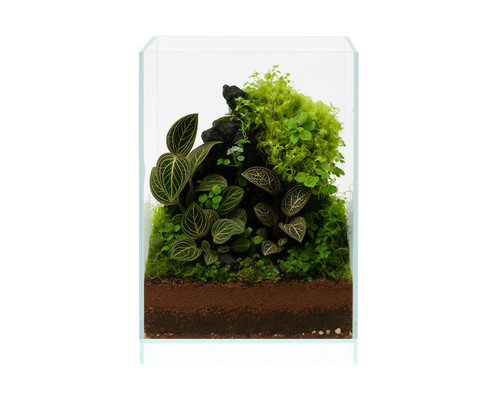 Natureholic nanoair tank - natureholic,