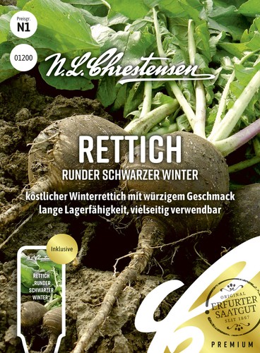 Rettich runder schwarzer - rettich,