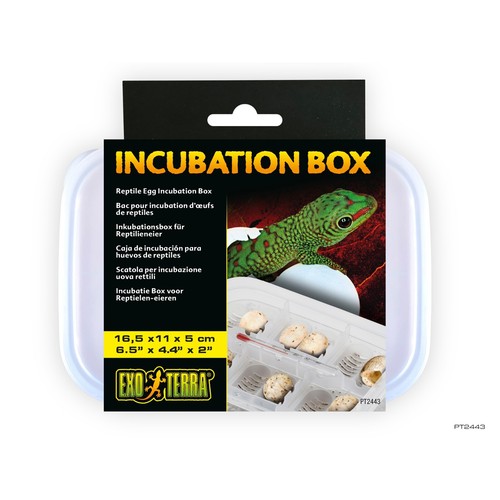 Exo terra inkubationsbox - exo,