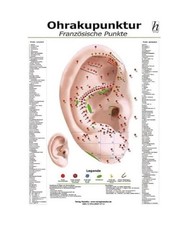 Ohrakupunktur Mini-Poster - französische Punkte DIN A4