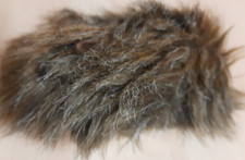 Meerschweinchen, mehrfarbig