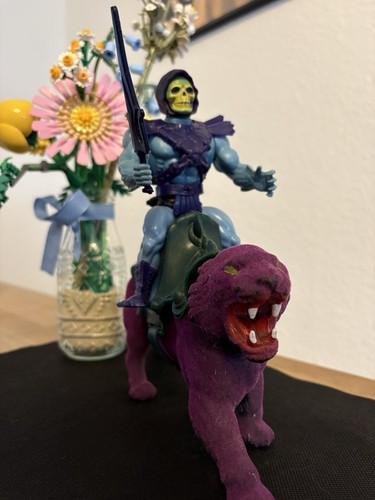 Skeletor und panthor motu - skeletor,