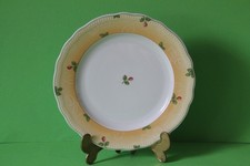 Seltmann Weiden Alt Dresden Rosengarten Kuchenteller Teller 20 cm