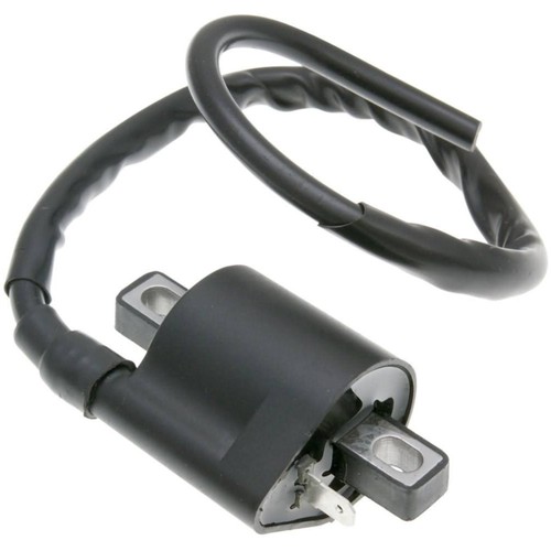 Zündspule pin ersatzteil - 1,
