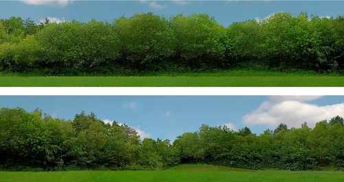 Scenic backgrounds tall - scenic,