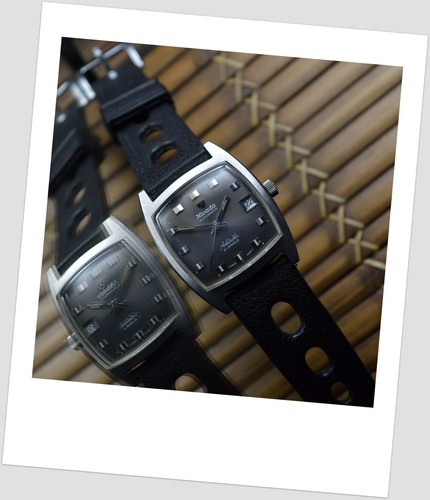 Nivada rare antarctic - rare,