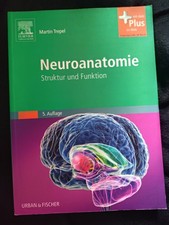 Buch, Neuroanatomie, Martin