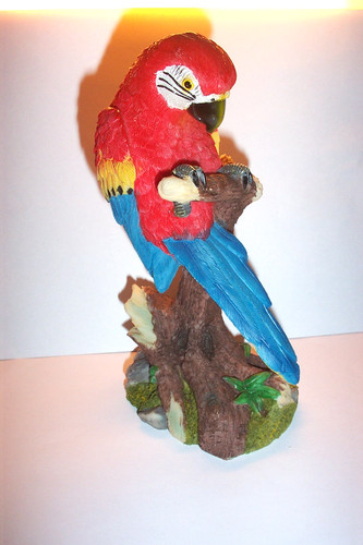 Schöner papagei rot vogel - -,