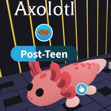 Axolotl Ride Adopt me Pet Roblox 