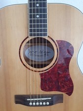 Westerngitarre James Neligan ASY-A Acoustic Guitar