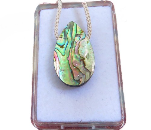 Paua muschel abalone - abalone, cabochon
