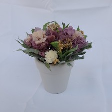 ABELLA Natura Trockenblumen Arrangement im Topf