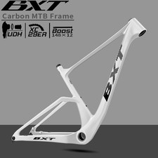 BXT 29 Zoll Carbon
