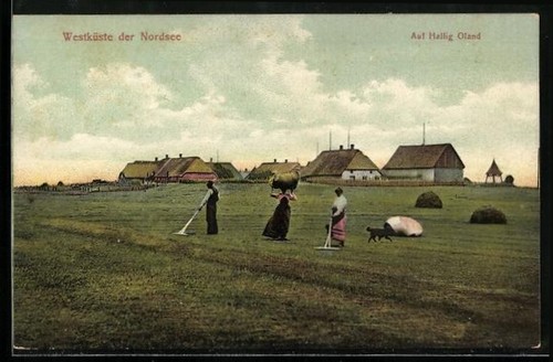 Ansichtskarte hallig oland - ansichtskarte,
