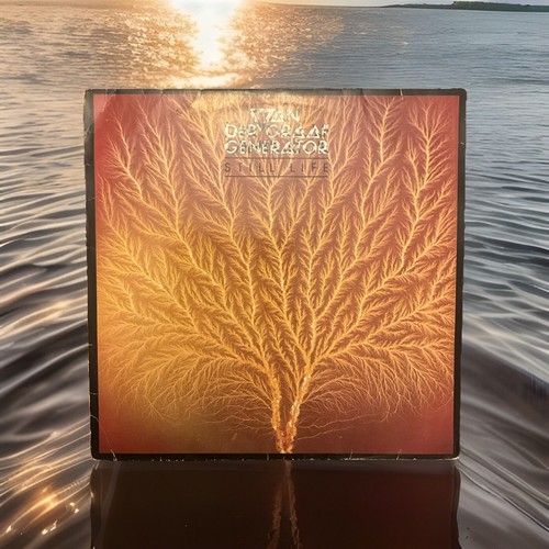 Van der graaf generator - van,