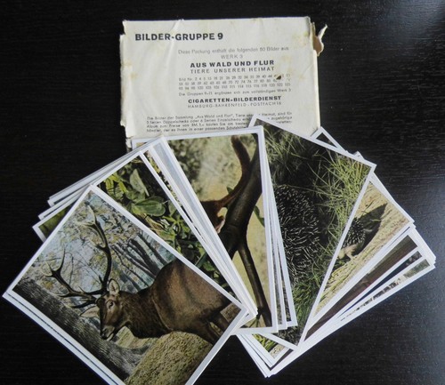 Sammelbilder aus wald und - aus,