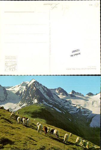 723487 hohe mut bergschafe - 723487,