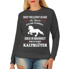 Damen Pullover Sweatshirt