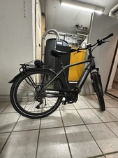 Pegasus Strong EVO 10 Lite Trekking E-Bike Top Elektrofahrrad Bosch Akku 625Wh