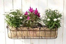 Pflanzkorb für die Wand 67 cm