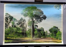 Westermann Schulwandkarte Poster Flaschenbaum Alpha Queensland Australien