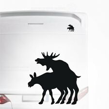 Lustiges Schweden Elch Paar